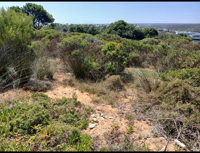 LAND FOR SALE IN STILBAAI-WES